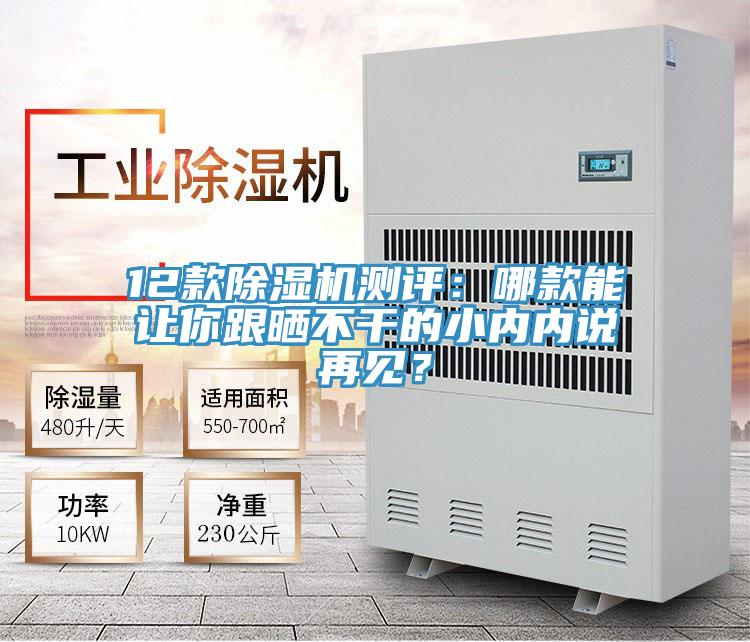 12款除濕機(jī)測(cè)評(píng)：哪款能讓你跟曬不干的小內(nèi)內(nèi)說再見？