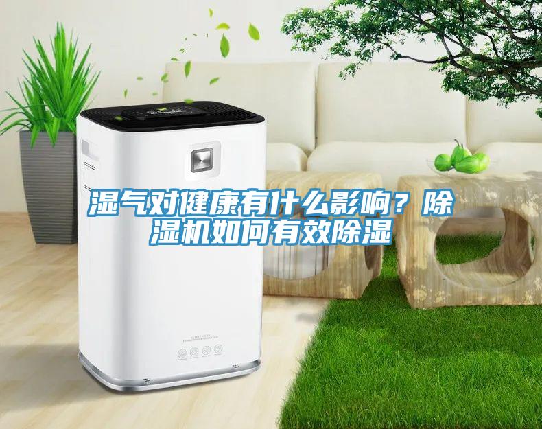 濕氣對健康有什么影響？除濕機(jī)如何有效除濕