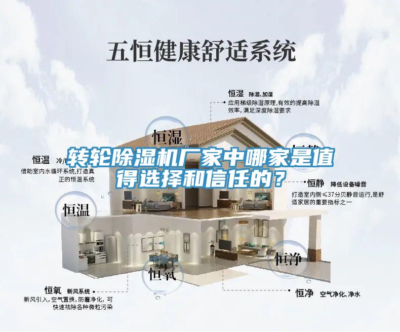 轉(zhuǎn)輪除濕機(jī)廠家中哪家是值得選擇和信任的？