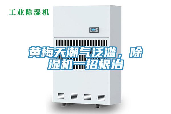 黃梅天潮氣泛濫，除濕機一招根治