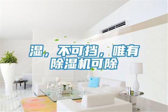 濕，不可擋，唯有除濕機可除