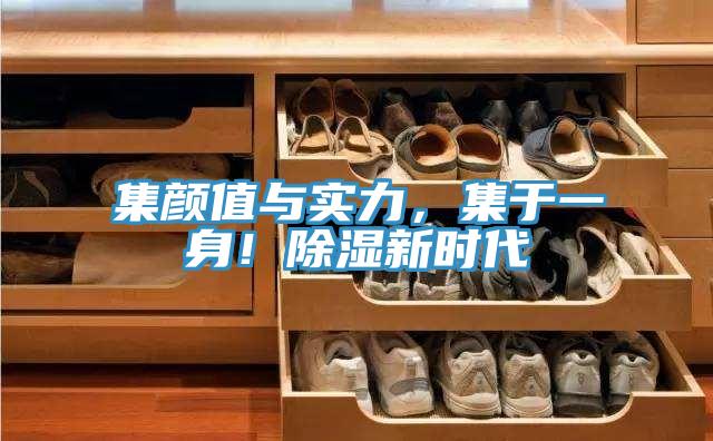 集顏值與實(shí)力，集于一身！除濕新時代