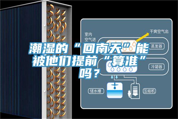 潮濕的“回南天”能被他們提前“算準”嗎？