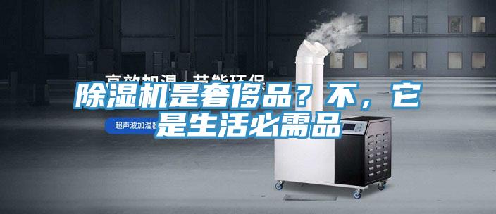 除濕機是奢侈品？不，它是生活必需品