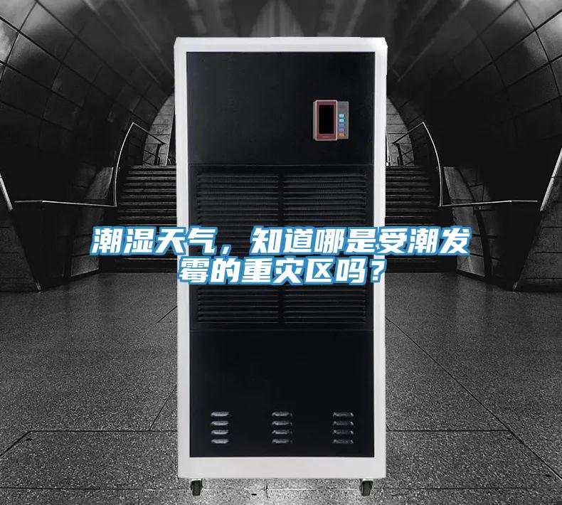 潮濕天氣，知道哪是受潮發(fā)霉的重災(zāi)區(qū)嗎？