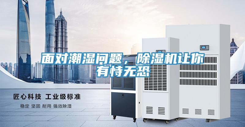 面對潮濕問題，除濕機讓你有恃無恐