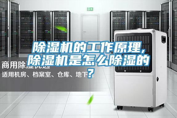 除濕機的工作原理,除濕機是怎么除濕的？
