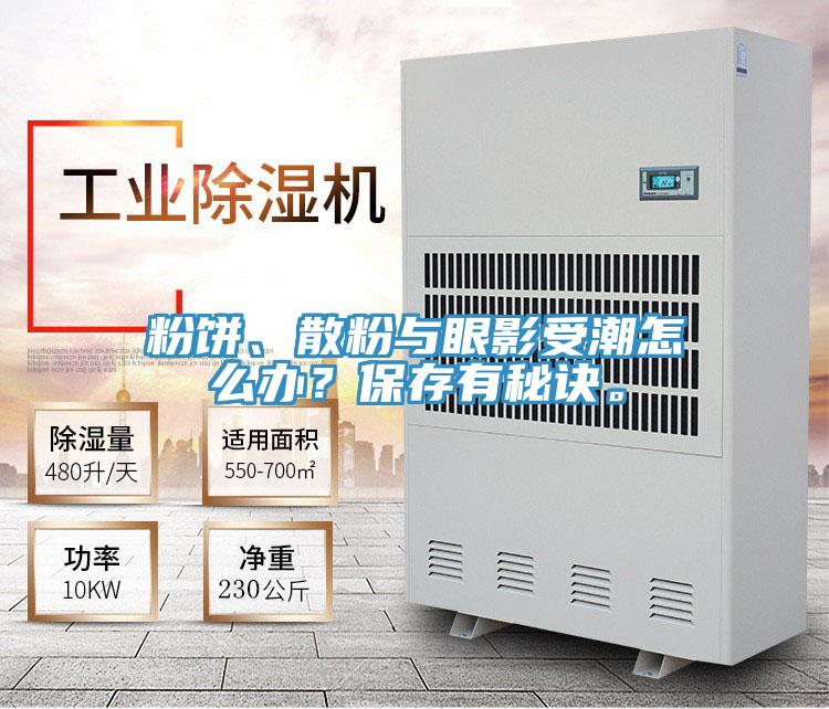 粉餅、散粉與眼影受潮怎么辦？保存有秘訣。