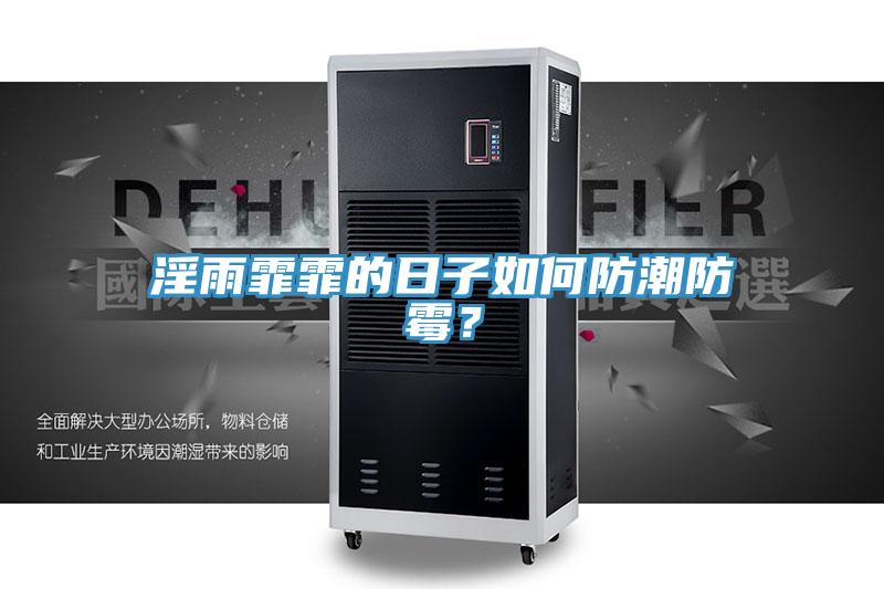 淫雨霏霏的日子如何防潮防霉？