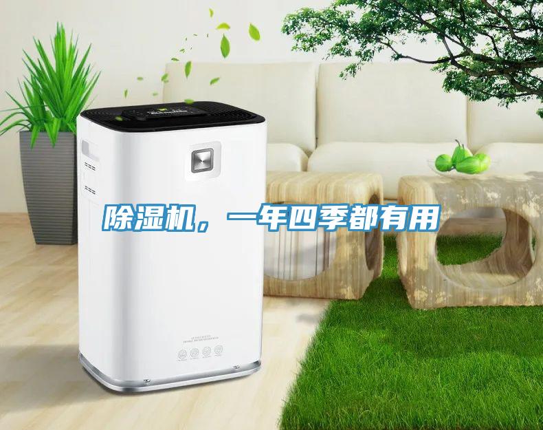 除濕機(jī)，一年四季都有用