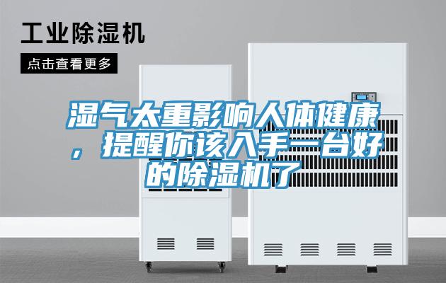 濕氣太重影響人體健康，提醒你該入手一臺好的除濕機了