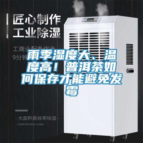 雨季濕度大、溫度高！普洱茶如何保存才能避免發(fā)霉