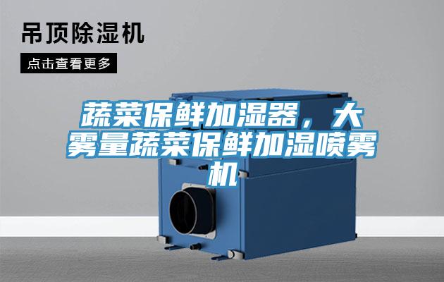 蔬菜保鮮加濕器，大霧量蔬菜保鮮加濕噴霧機
