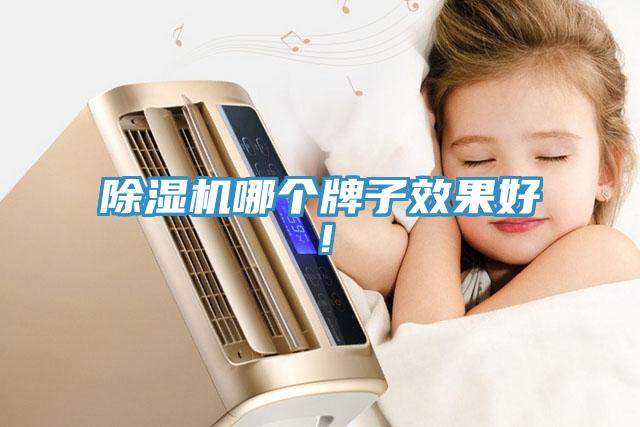 除濕機哪個牌子效果好！