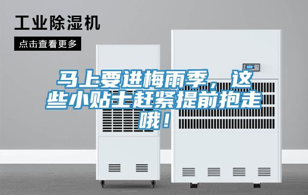 馬上要進梅雨季，這些小貼士趕緊提前抱走哦！
