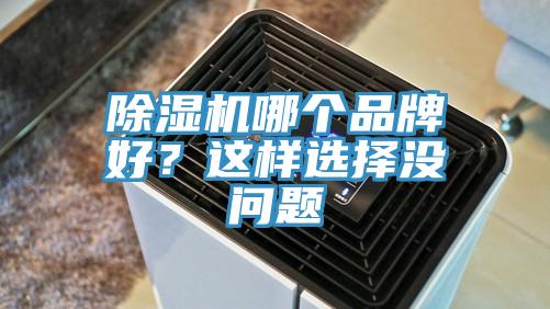 除濕機哪個品牌好？這樣選擇沒問題