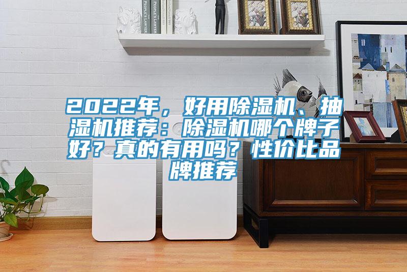2022年，好用除濕機(jī)、抽濕機(jī)推薦：除濕機(jī)哪個牌子好？真的有用嗎？性價比品牌推薦