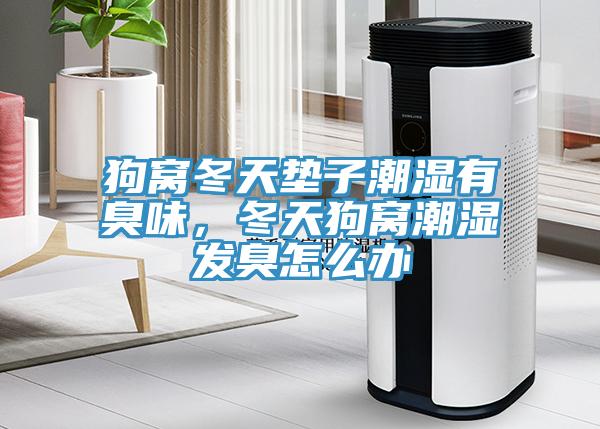 狗窩冬天墊子潮濕有臭味，冬天狗窩潮濕發(fā)臭怎么辦