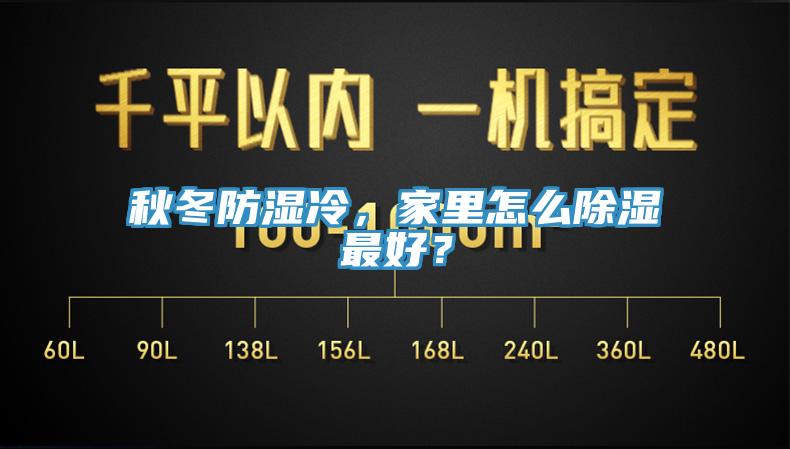 秋冬防濕冷，家里怎么除濕最好？