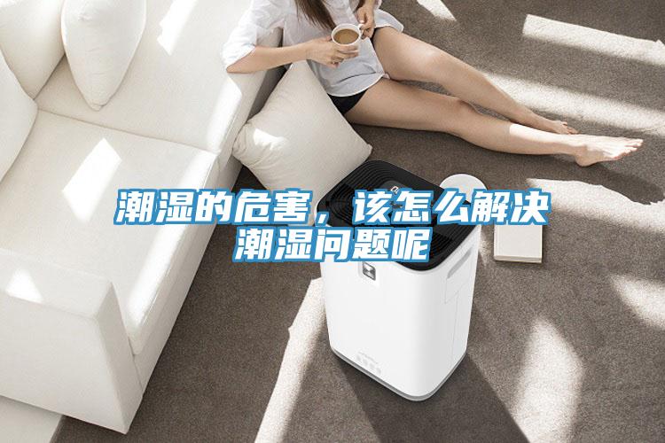 潮濕的危害，該怎么解決潮濕問題呢