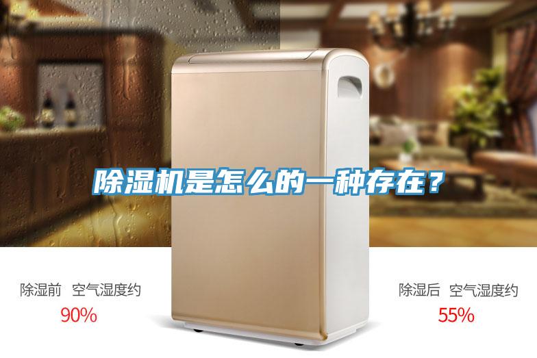 除濕機是怎么的一種存在？