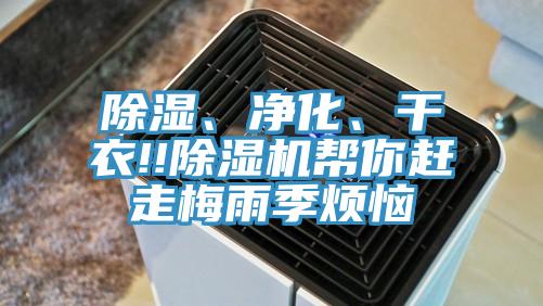 除濕、凈化、干衣!!除濕機幫你趕走梅雨季煩惱