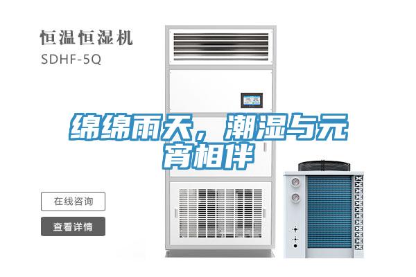綿綿雨天，潮濕與元宵相伴