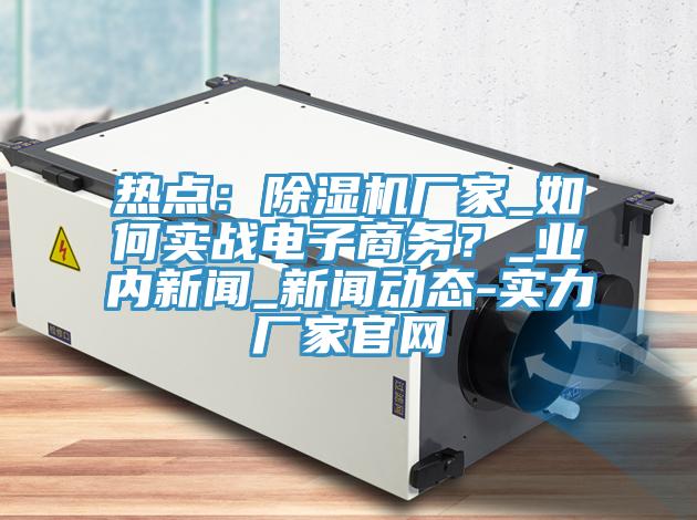 熱點：除濕機廠家_如何實戰(zhàn)電子商務(wù)？_業(yè)內(nèi)新聞_新聞動態(tài)-實力廠家官網(wǎng)