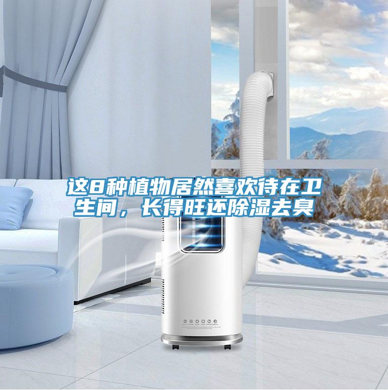 這8種植物居然喜歡待在衛(wèi)生間，長得旺還除濕去臭