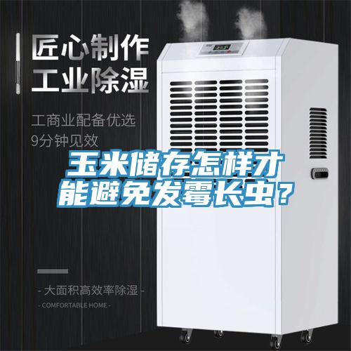 玉米儲存怎樣才能避免發(fā)霉長蟲？