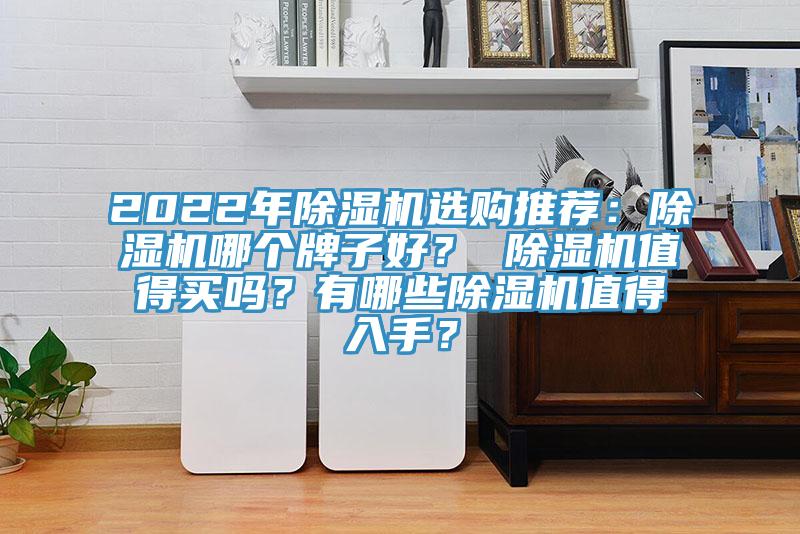 2022年除濕機(jī)選購?fù)扑]：除濕機(jī)哪個牌子好？ 除濕機(jī)值得買嗎？有哪些除濕機(jī)值得入手？