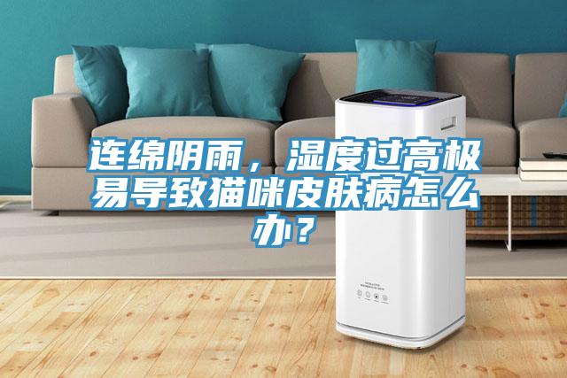 連綿陰雨，濕度過高極易導(dǎo)致貓咪皮膚病怎么辦？