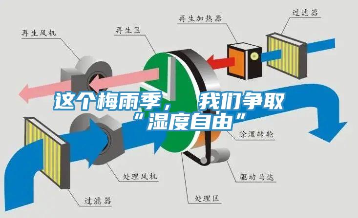 這個梅雨季， 我們爭取“濕度自由”