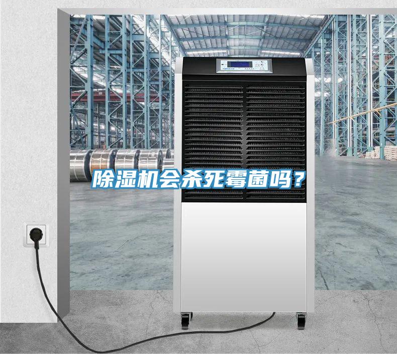 除濕機會殺死霉菌嗎？