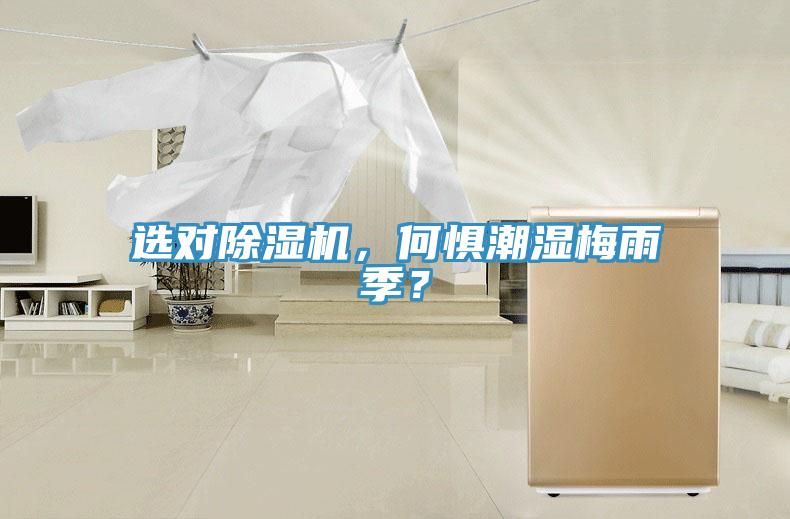 選對除濕機，何懼潮濕梅雨季？