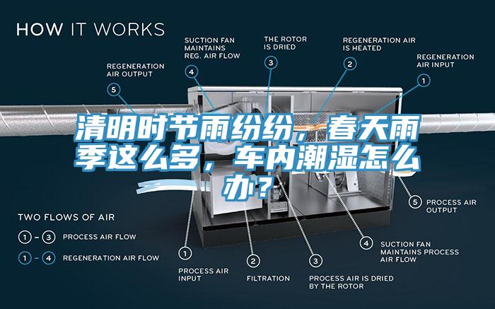 清明時(shí)節(jié)雨紛紛，春天雨季這么多，車內(nèi)潮濕怎么辦？