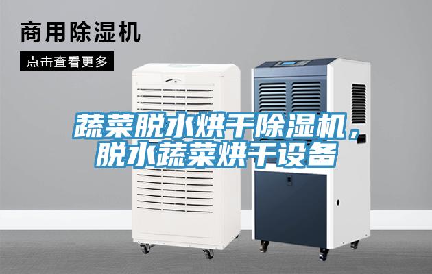 蔬菜脫水烘干除濕機，脫水蔬菜烘干設備