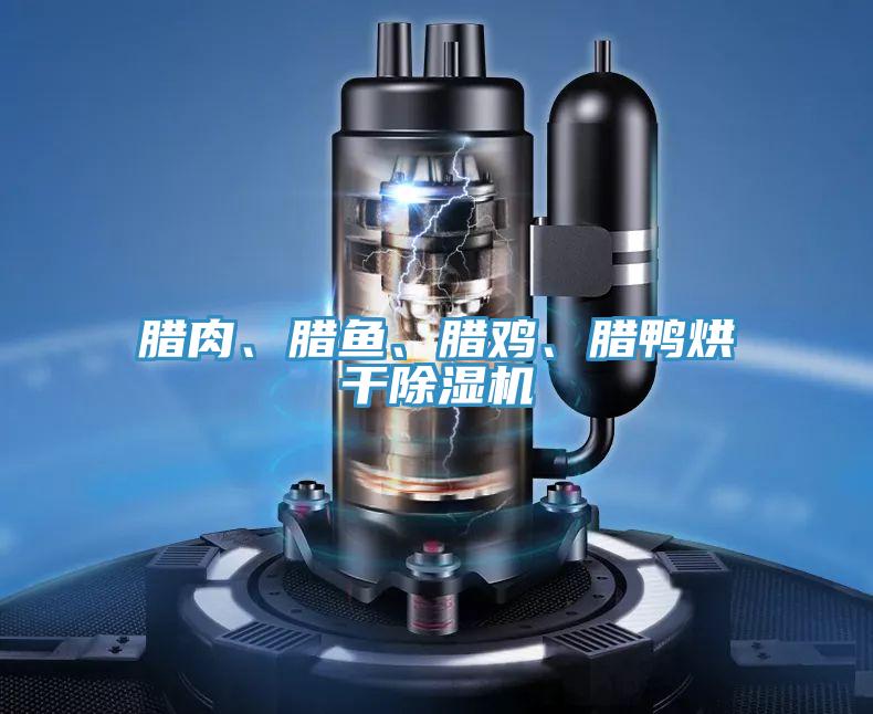 臘肉、臘魚、臘雞、臘鴨烘干除濕機(jī)