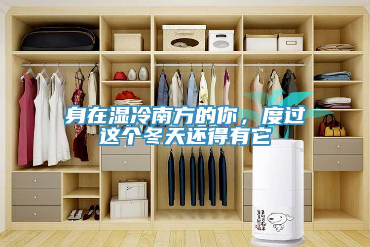 身在濕冷南方的你，度過這個冬天還得有它