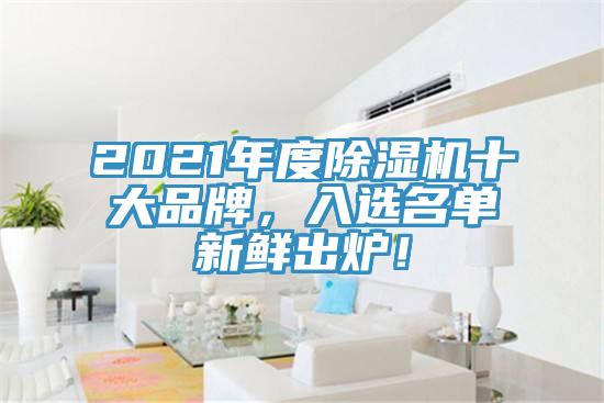 2021年度除濕機(jī)十大品牌，入選名單新鮮出爐！