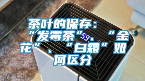 茶葉的保存：“發(fā)霉茶”、“金花”、“白霜”如何區(qū)分