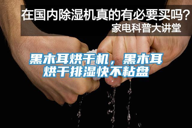 黑木耳烘干機，黑木耳烘干排濕快不粘盤