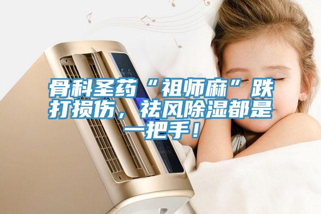 骨科圣藥“祖師麻”跌打損傷，祛風(fēng)除濕都是一把手！