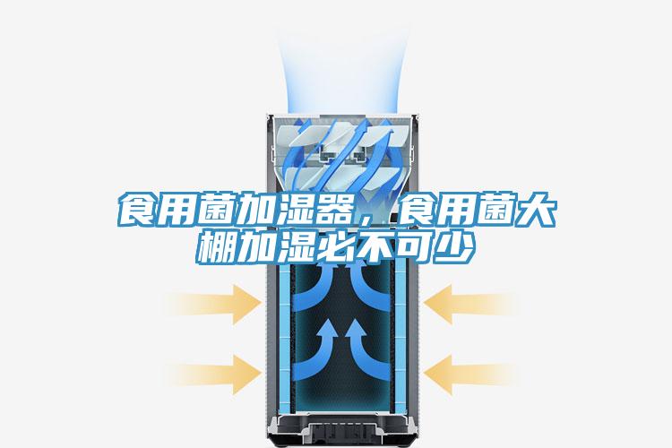 食用菌加濕器，食用菌大棚加濕必不可少