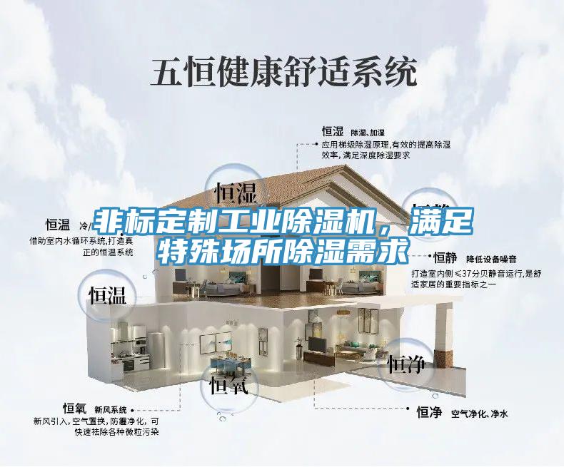 非標定制工業(yè)除濕機，滿足特殊場所除濕需求
