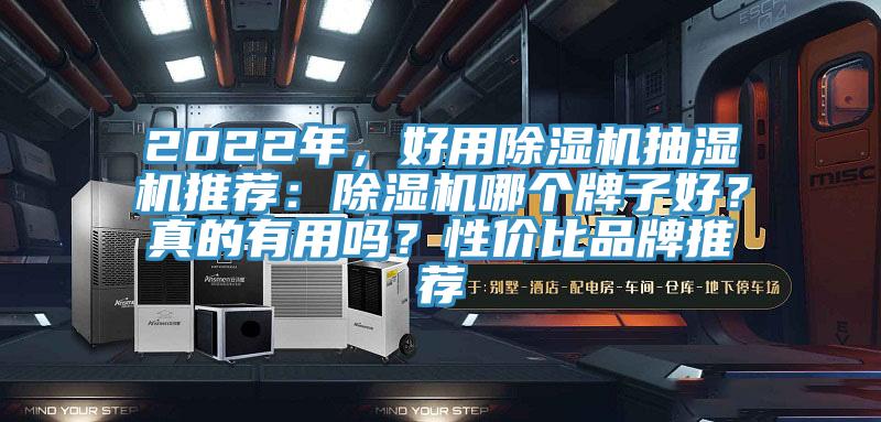 2022年，好用除濕機(jī)抽濕機(jī)推薦：除濕機(jī)哪個牌子好？真的有用嗎？性價比品牌推薦