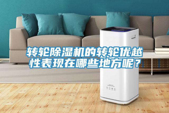 轉輪除濕機的轉輪優(yōu)越性表現在哪些地方呢？