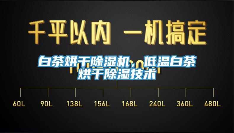 白茶烘干除濕機，低溫白茶烘干除濕技術