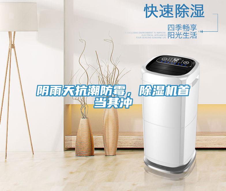陰雨天抗潮防霉，除濕機首當(dāng)其沖