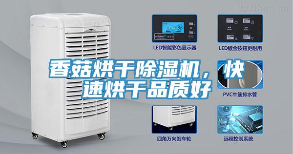 香菇烘干除濕機(jī)，快速烘干品質(zhì)好